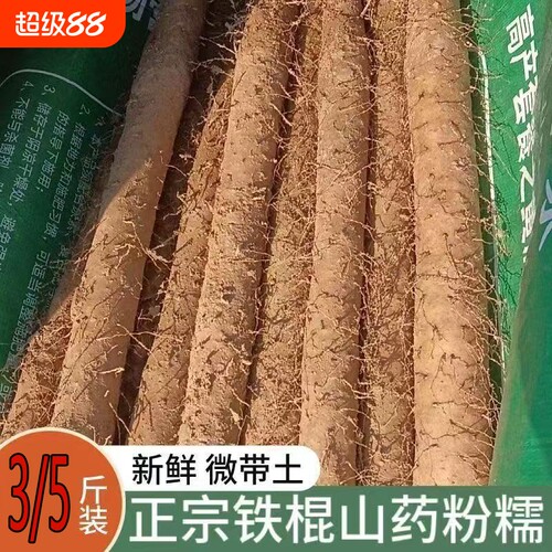 现挖现发河北铁棍山药粉糯香甜垆土产地小白嘴麻山药新鲜蔬菜