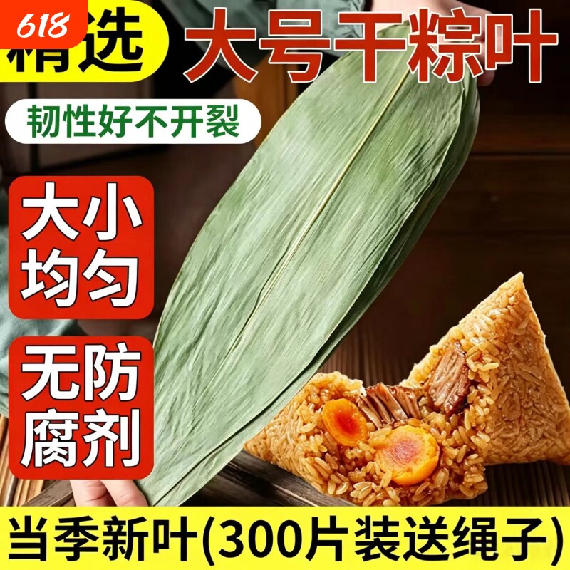 粽子叶粽叶干大号棕叶新鲜包粽子的竹叶子干粽叶商用箬叶批发材料