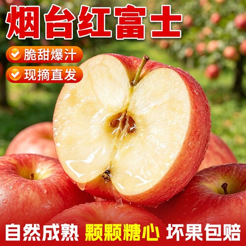 红富士苹果烟台直采2026年甜心冰糖圣诞果新鲜水果糖心脆甜现摘
