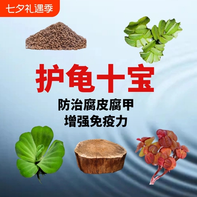 龙眼木乌龟缸装饰|超2000次加购