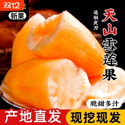 【商超】云南天山雪莲果代餐孕妇糖尿人低糖精选老年人水果现挖甜