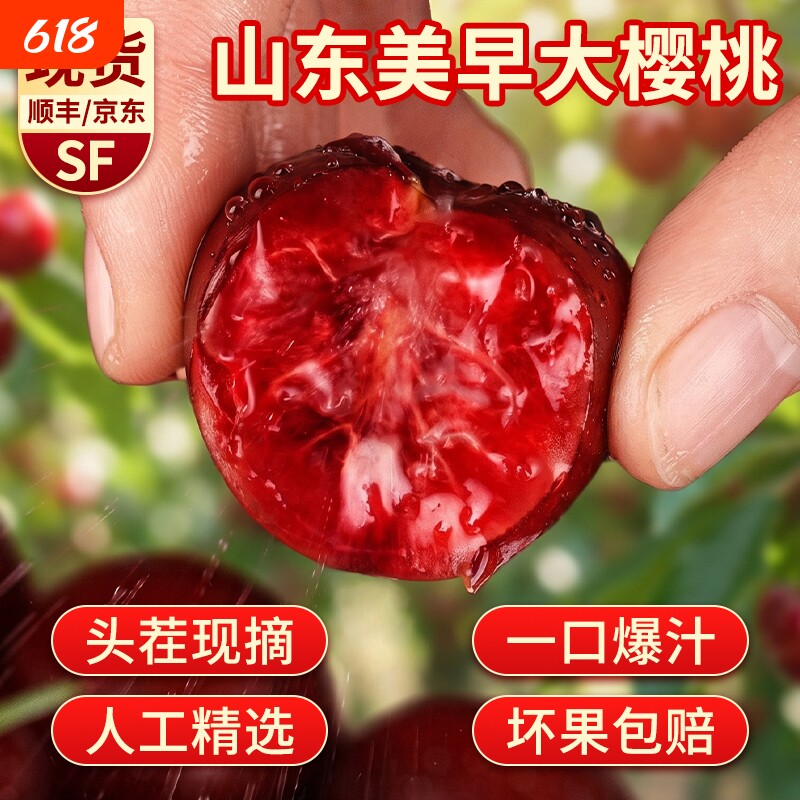 烟台大樱桃   新鲜国产车厘子山东整箱现摘端午送礼必备脆甜多汁