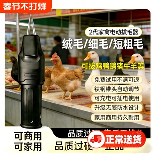家禽拔毛器电动拔毛神器鸡鸭鹅毛猪肉手持去拔脱毛机充插两用防水