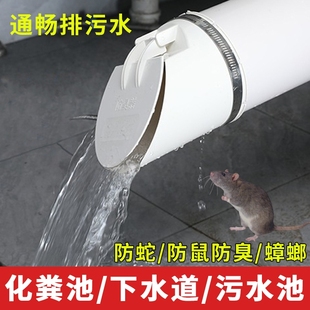 110pvc排水管防臭下水管横管外套160排污化粪池防臭防返水地漏芯