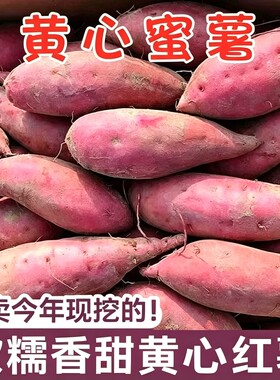 新鲜现挖黄心红薯软糯香甜批发价