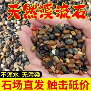 免洗溪流石鱼缸底砂造景专用砂火山石鹅卵石石头生态古法养鱼铺底