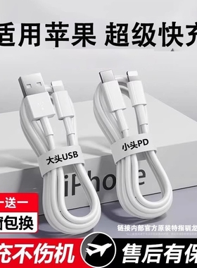 驯龙师 适用苹果iPhone16数据线14充电线器13手机15promax11车载USB加长2米XR冲电8plus短ipad闪充PD快充平板