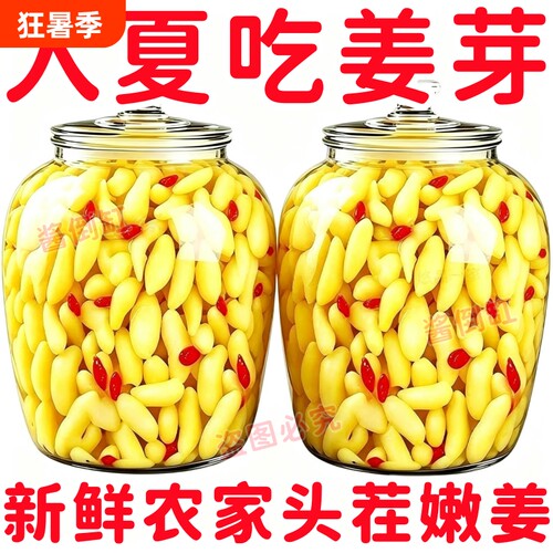 【精品】枸杞泡姜芽新鲜嫩姜芽爽口酸甜醋泡生姜片泡嫩姜腌制泡菜