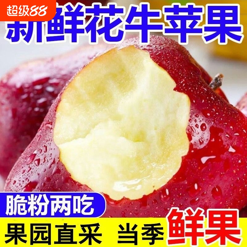 正宗新鲜花牛苹果甘肃天水花牛苹果粉面沙滩宝宝辅食刮泥吃蛇果