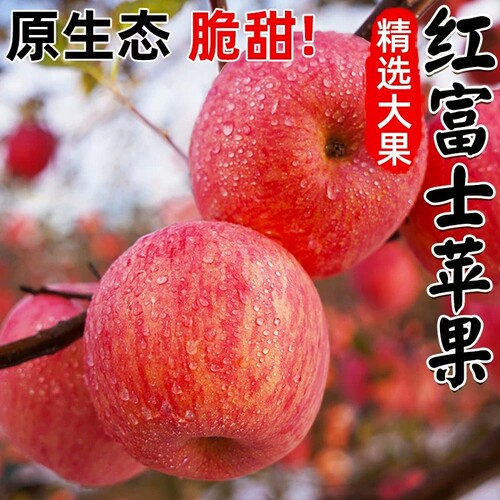 正宗山东红富士脆甜多汁大苹果