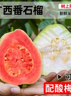 广西芭乐红白双拼软心番石榴水果新鲜包邮冰淇淋奶油草莓芭乐低糖