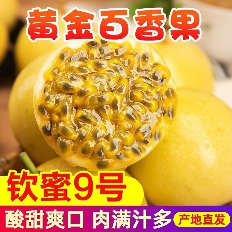 百香果钦蜜9号特大果5斤