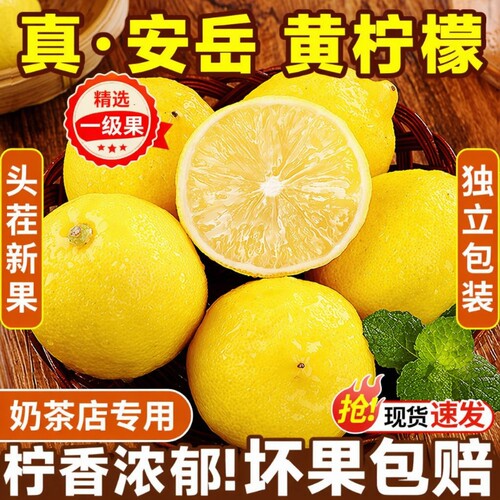 安岳黄柠檬新鲜鲜果皮薄奶茶店批发整箱10斤包邮薄皮一级果精选