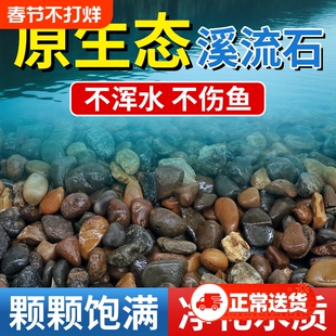 天然溪流石鹅卵石原生水族鱼缸水草缸多肉铺面小石子过滤豆石河砂