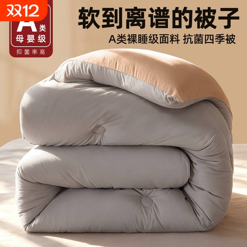 【四季通用】加厚保暖被子被芯