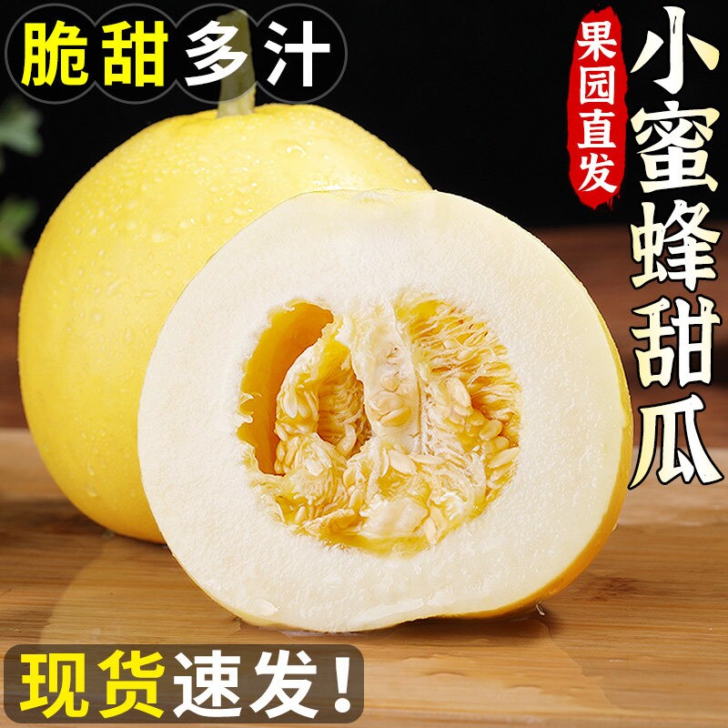 正宗山东小蜜蜂甜瓜当季新鲜水果现摘香瓜蜜罐奶香脆甜瓜大果整箱