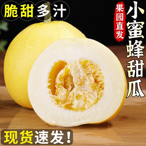 正宗山东小蜜蜂甜瓜当季新鲜水果
