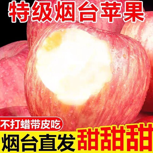 正宗山东烟台红富士苹果新鲜水果脆甜冰糖心栖霞苹果产地包邮精选