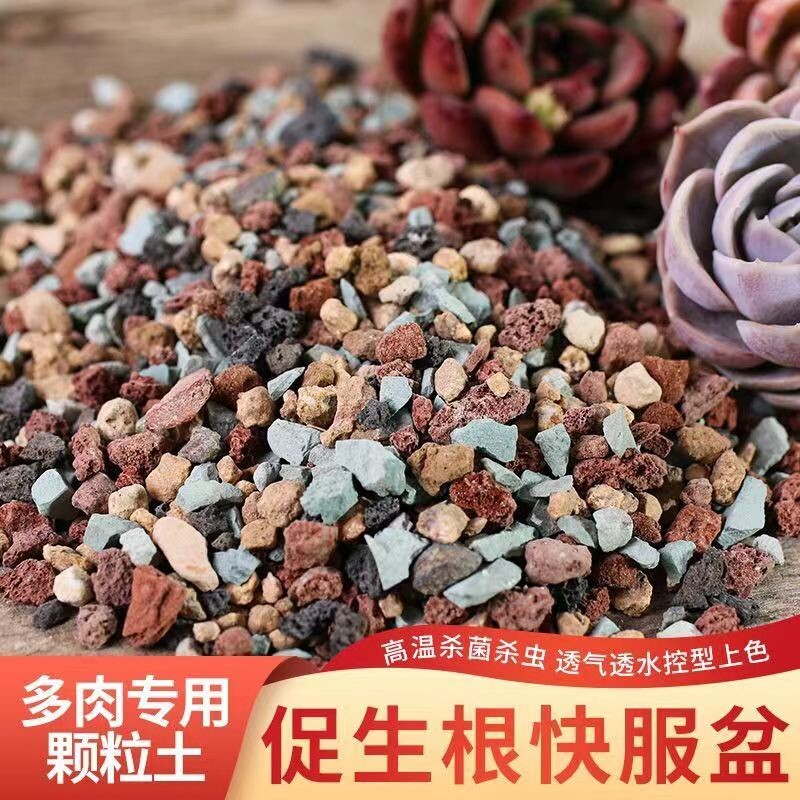 多肉专用颗粒土纯颗粒土多肉土营养土彩虹石养花小石子通用型肉肉