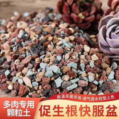 多肉专用颗粒土纯颗粒土多肉土营养土彩虹石养花小石子通用型肉肉