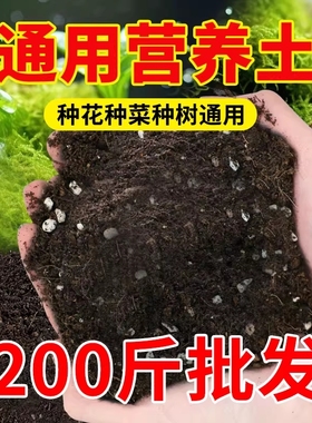 营养土通用型100斤养花通用专用土壤种植土种菜花土疏松泥土种花