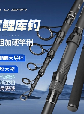 欧鲤竿伸缩式碳素超轻硬海杆岸抛远投大物海竿欧鲤钓海钓套装carp
