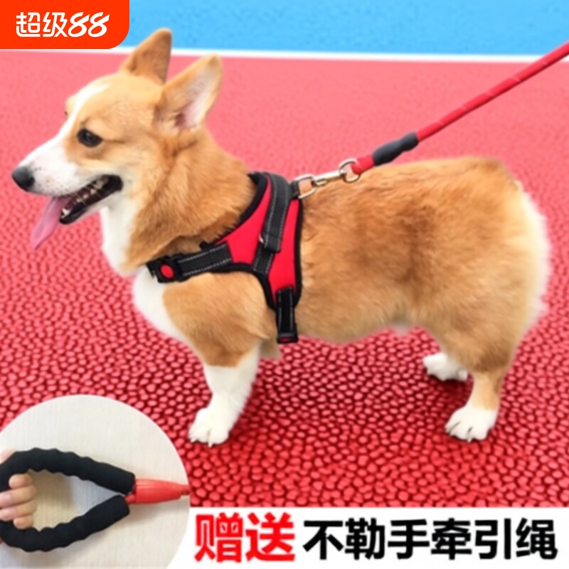 狗背带狗狗牵引绳胸背带中型犬遛狗拉布拉多柯基小型犬大型犬