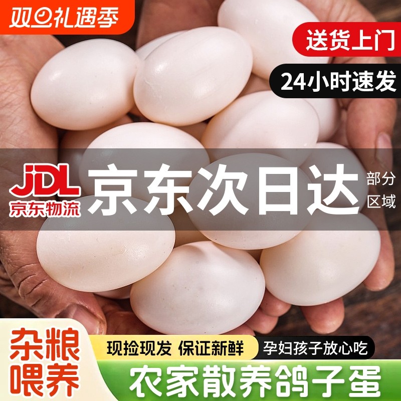 【京东上门】新鲜鸽子蛋30枚纯杂粮散养白鸽蛋孕妇宝宝营养辅食蛋