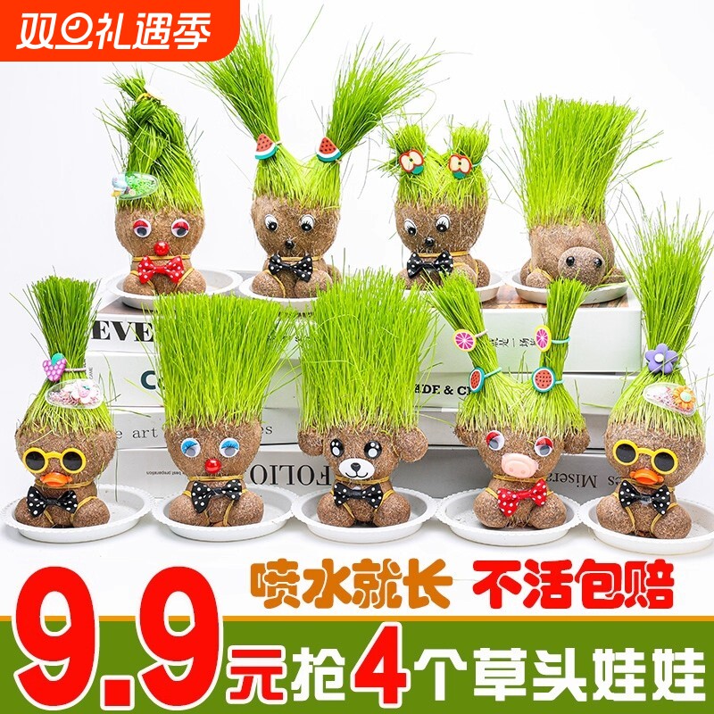 水培草头长草娃娃儿童种植小盆栽种草绿植植物幼儿园桌面室内