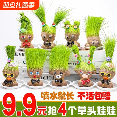水培草头长草娃娃儿童种植小盆栽种草绿植植物幼儿园桌面室内