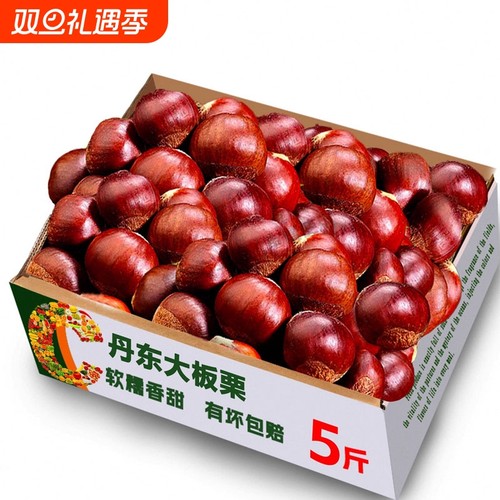 正宗新鲜生现摘丹东板栗5斤