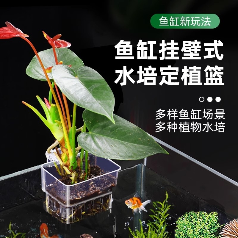 鱼缸水培植物篮家用水草种植杯壁挂式挺水植物定植篮鱼缸造景装饰