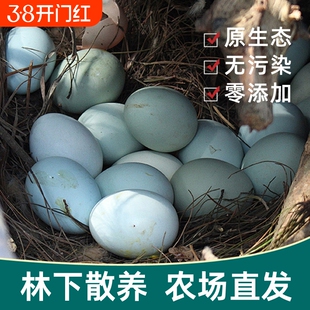 农家散养绿壳土鸡蛋30枚大别山老人吃农场乌鸡蛋谷物山鸡配送新鲜