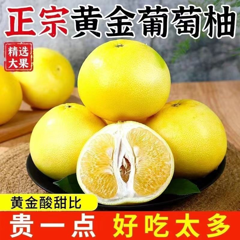 爆汁黄金葡萄柚大果新鲜水果当季时令爆汁黄肉甜西蜜柚子礼盒装