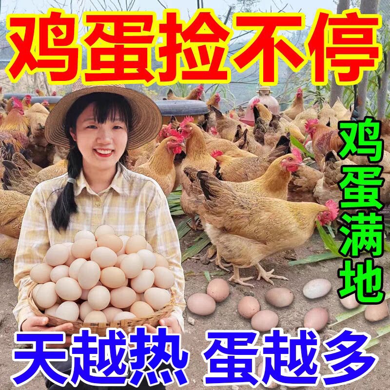 增蛋宝鸡鸭鹅鸽专用蛋多多下蛋饲料催鸡下蛋鹌鹑产蛋灵增蛋素增产