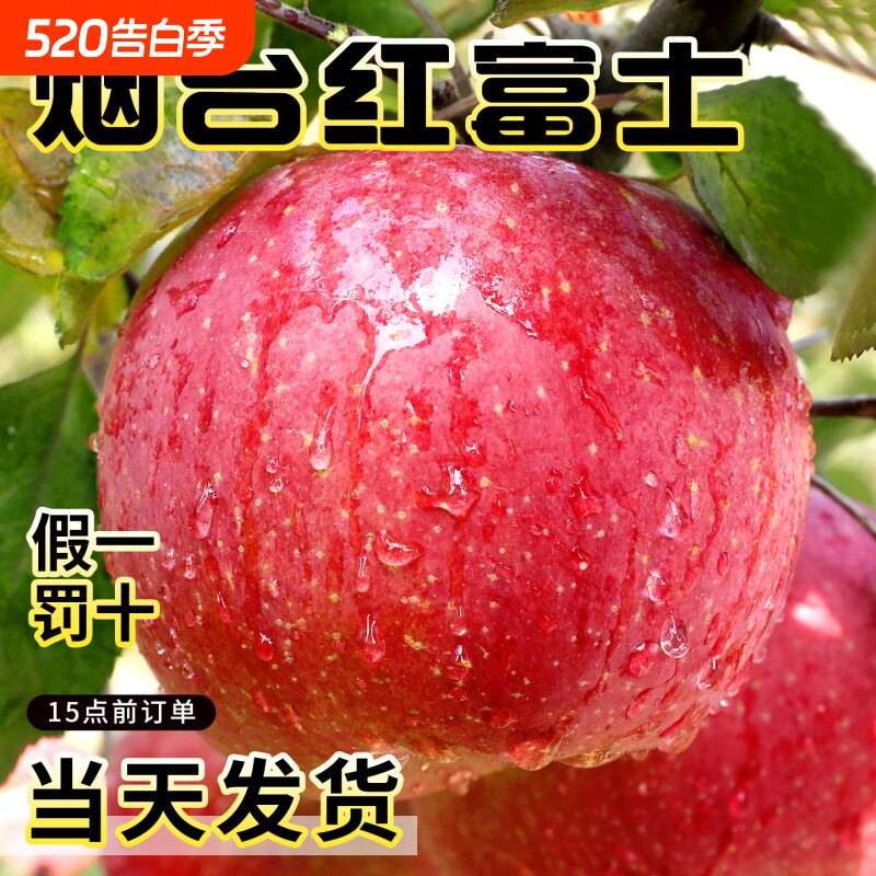 正宗山东烟台红富士苹果新鲜水果现摘脆甜应当季栖霞苹果整箱包邮