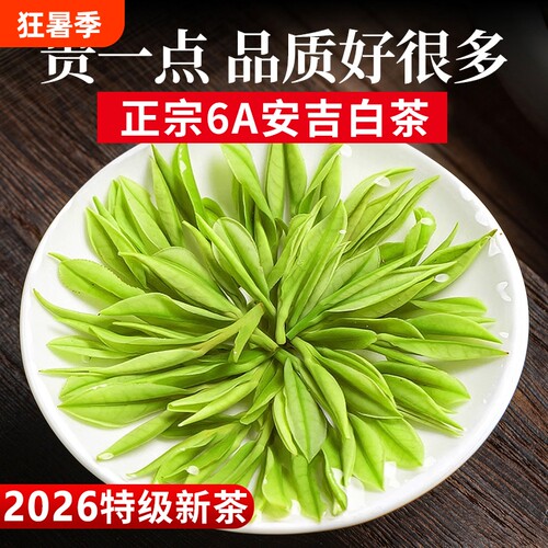安吉白茶特级明前绿茶
