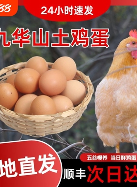 皖南土鸡蛋九华山高山散养土鸡蛋竹林蛋50枚产地直发顺丰包邮