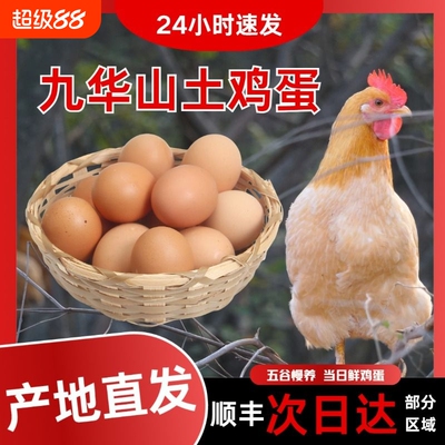 皖南土鸡蛋九华山高山散养土鸡蛋竹林蛋50枚产地直发顺丰包邮