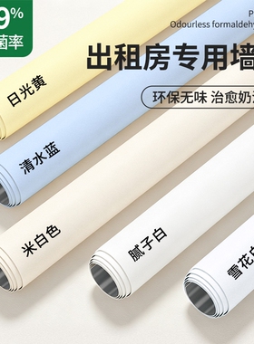 白墙纸自粘防水防潮出租房宿舍墙面改造装饰壁纸贴纸家用墙裙墙贴