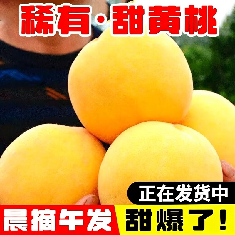 新鲜砀山黄桃当季整箱油桃黄金油桃应季农家桃子现摘蜜桃脆甜爆汁