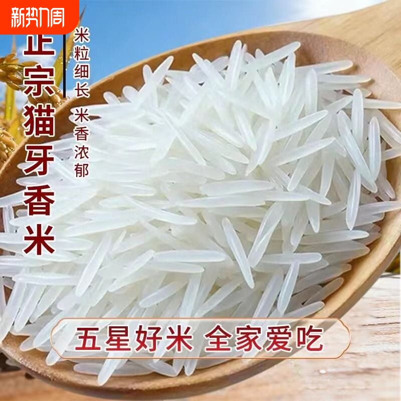 正宗猫牙香米大米广西寿乡上林特产香米农家晚稻籼米新米细长10斤