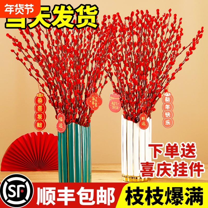 银柳鲜枝真花客厅摆件红色年宵花卉干花干枝水培植物室内喜庆装饰,鲜花速递/花卉仿真/绿植园艺,时令草本花卉,淘宝优惠券,粉丝福利购,淘宝优惠卷