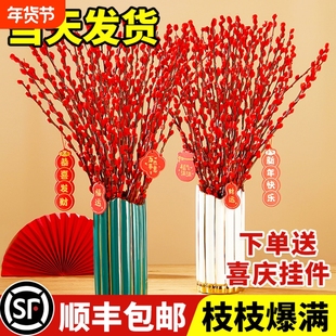 银柳鲜枝真花客厅摆件红色年宵花卉干花干枝水培植物室内喜庆装饰