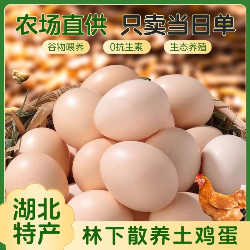 正宗农家土鸡蛋散养30枚湖北大别山林下新鲜初生蛋早餐乌鸡蛋包邮