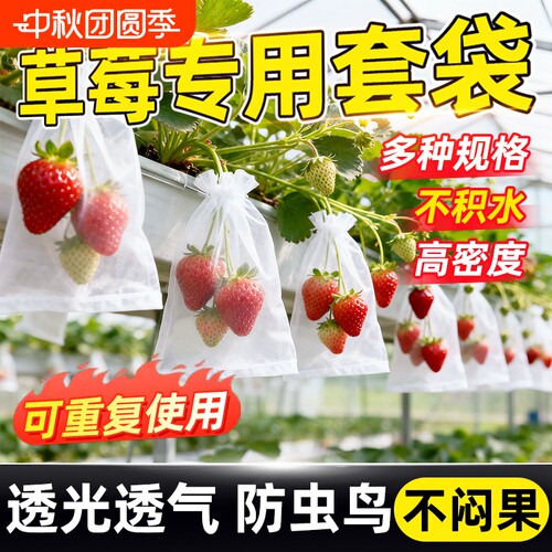 领沃草莓套袋透气可防虫防鸟套袋