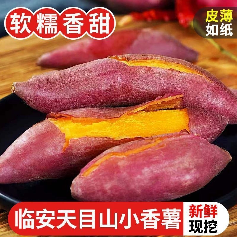 临安天目山小香薯农家自种小番薯地瓜蜜薯新鲜板栗红薯正宗现挖
