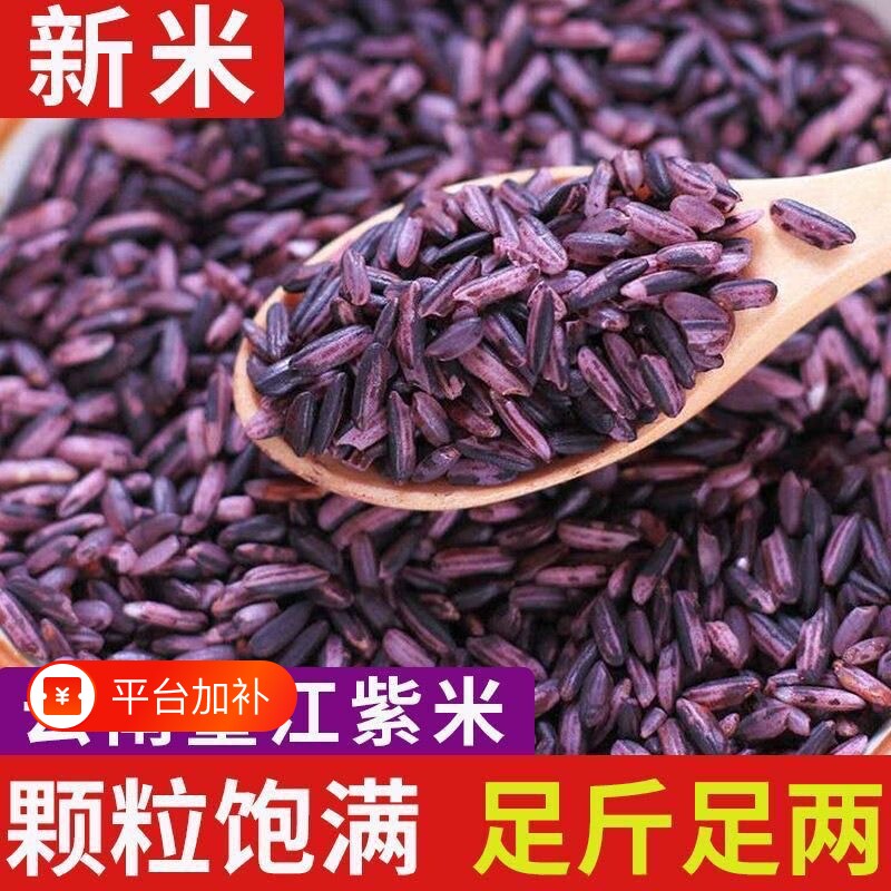 云南墨江紫米新米饭团专用米正宗紫糯米黑糯米包粽子米血糯米杂粮
