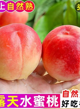 山西水蜜桃现摘脆甜爆汁
