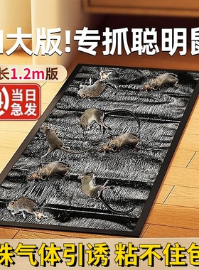 强力老鼠贴粘鼠板家用一窝端抓粘大老鼠粘鼠胶正品驱捕鼠粘鼠神器